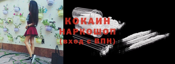 тгк Михайловск