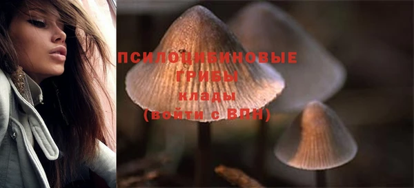 тгк Михайловск
