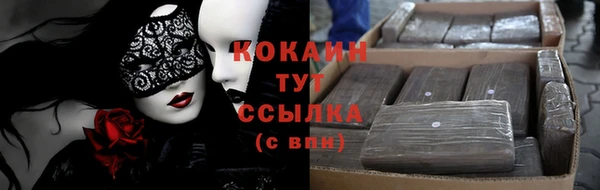 первитин Михайлов