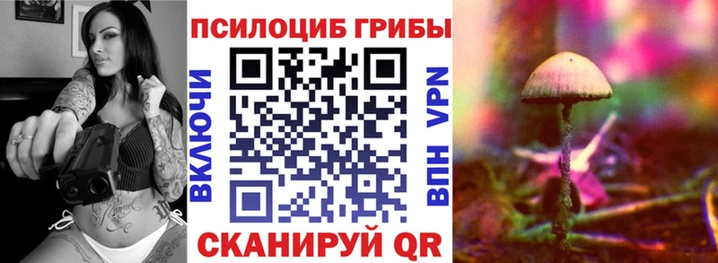 Купить закладки  Ардатов  Галлюциногенные грибы Cubensis 